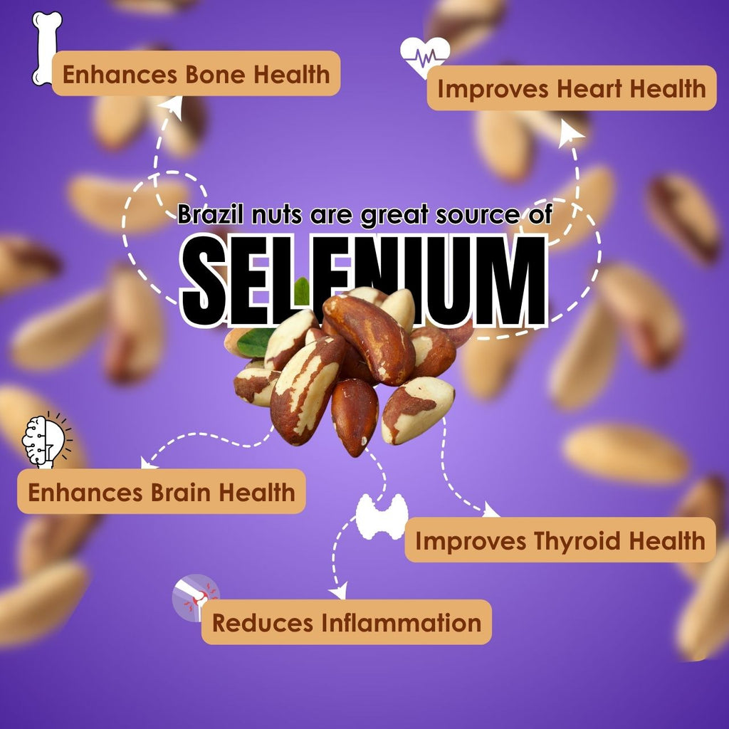 Dark Chocolate Covered Brazil Nuts