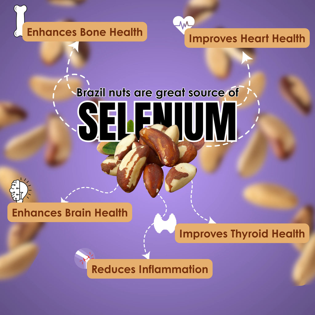 Milk Chocolate Covered Brazil Nuts